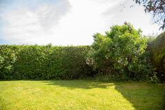 Hereford Garden